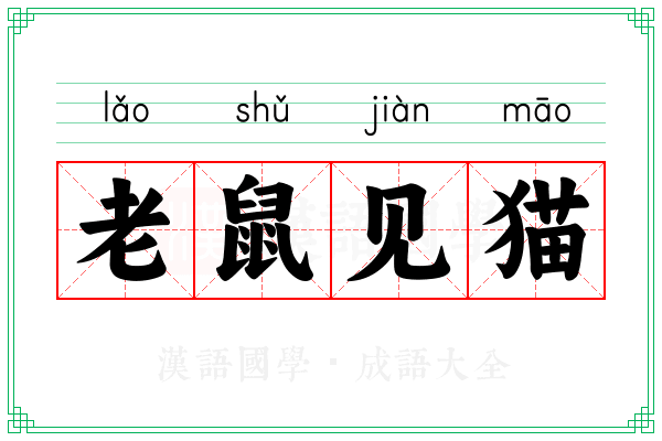 老鼠见猫 老鼠见猫