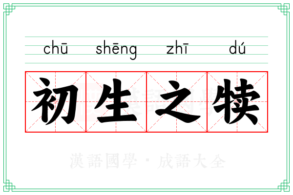 初生之犊 初生之犊