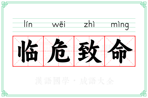临危致命 临危致命