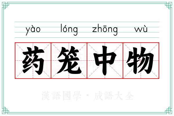 药笼中物 药笼中物