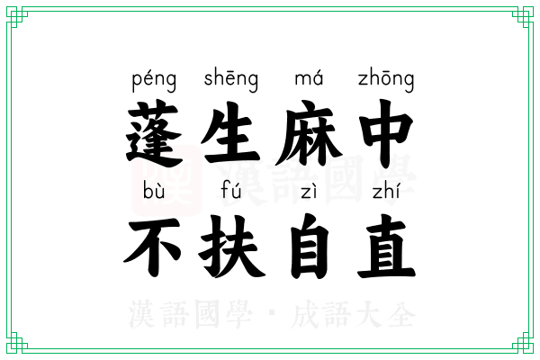蓬生麻中,不扶自直 蓬生麻中,不扶自直