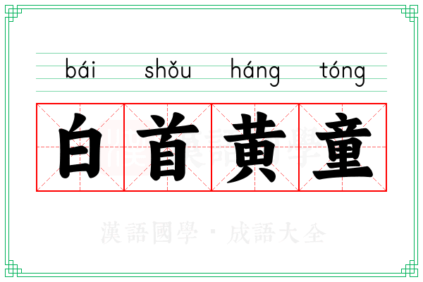 白首黄童