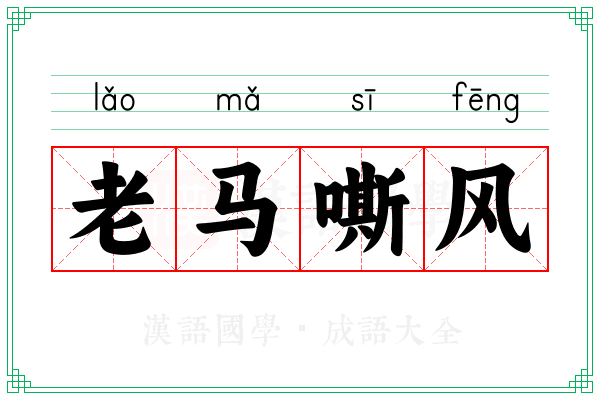 老马嘶风 老马嘶风
