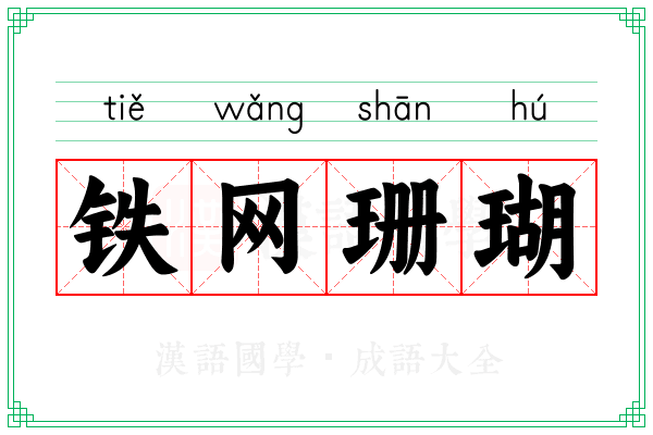铁网珊瑚 铁网珊瑚