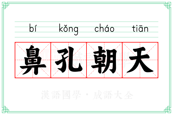 鼻孔朝天