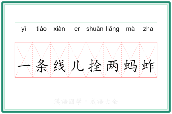 一条线儿拴两蚂蚱