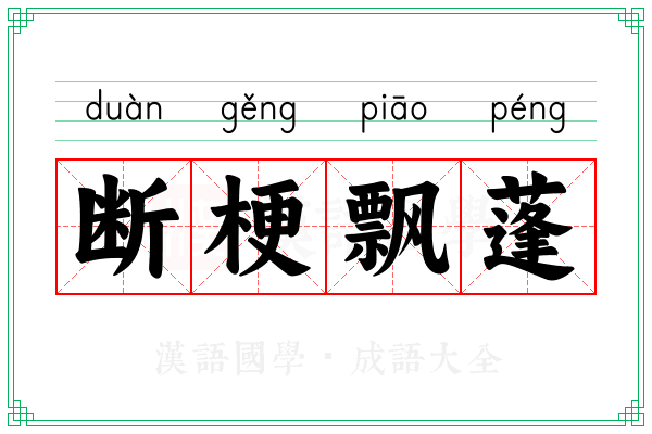 断梗飘蓬 断梗飘蓬