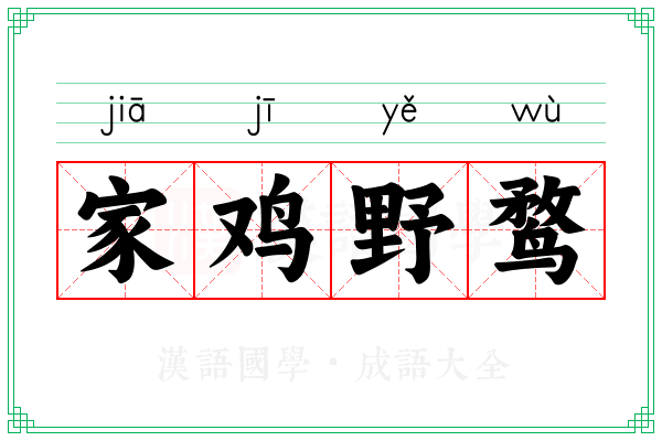 家鸡野鹜 家鸡野鹜