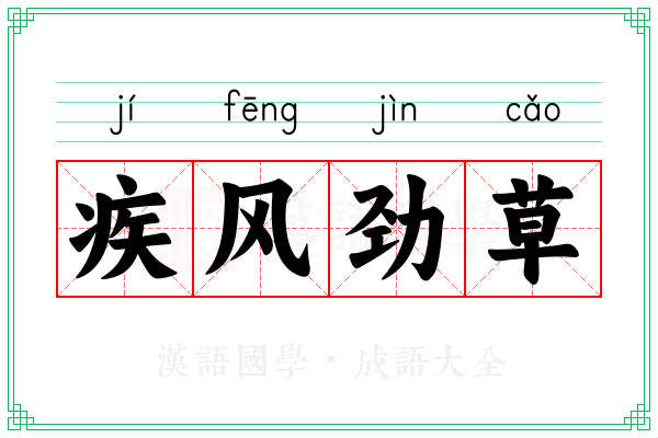 疾风劲草