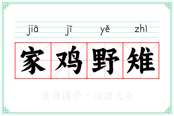 家鸡野雉 家鸡野雉