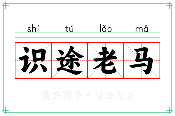 识途老马 识途老马