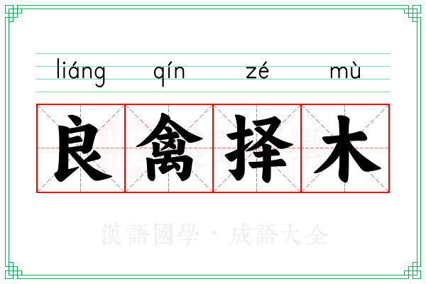 良禽择木 良禽择木