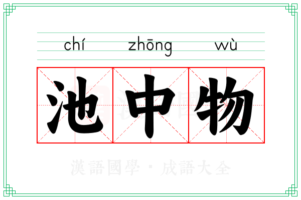 池中物 池中物