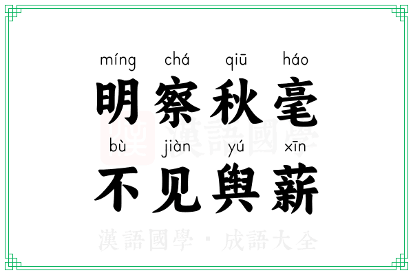 明察秋毫，不见舆薪