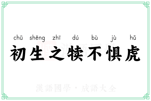 初生之犊不惧虎 初生之犊不惧虎