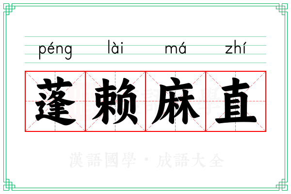 蓬赖麻直