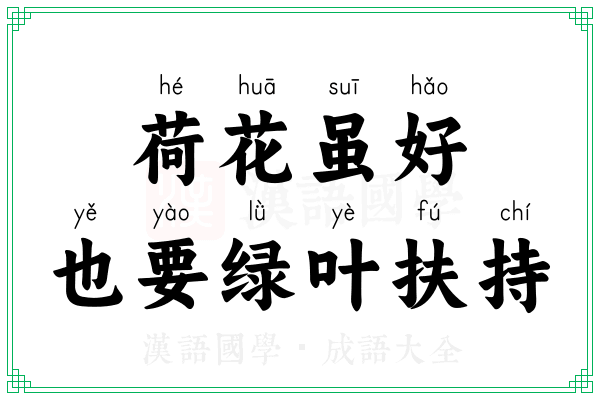 荷花虽好,也要绿叶扶持 荷花虽好,也要绿叶扶持