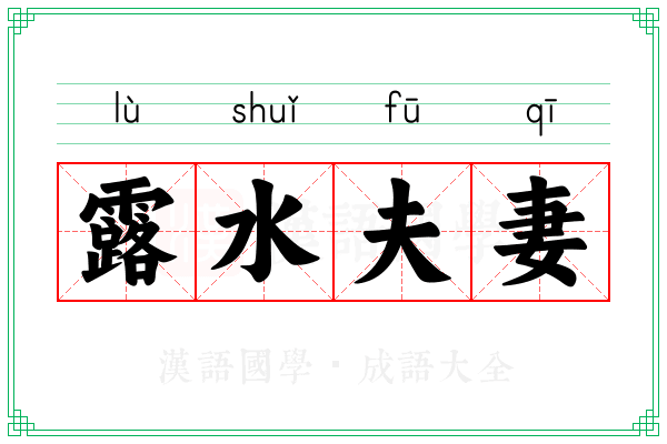 露水夫妻 露水夫妻