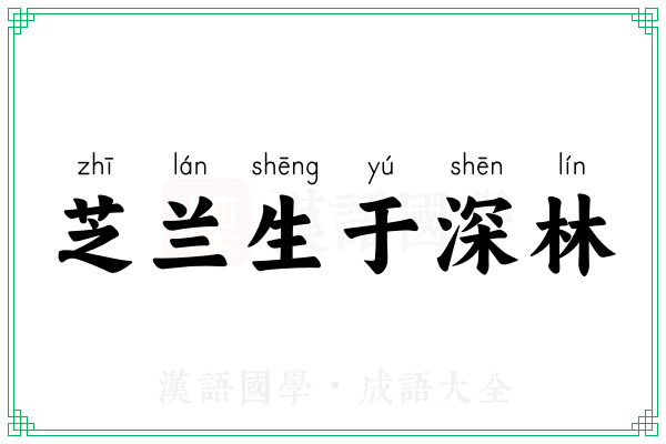 芝兰生于深林