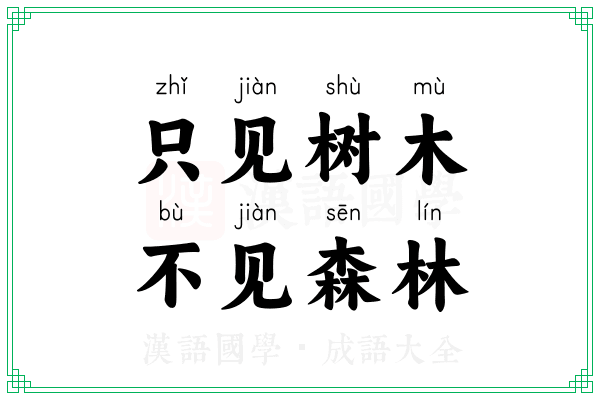 只见树木,不见森林 只见树木,不见森林