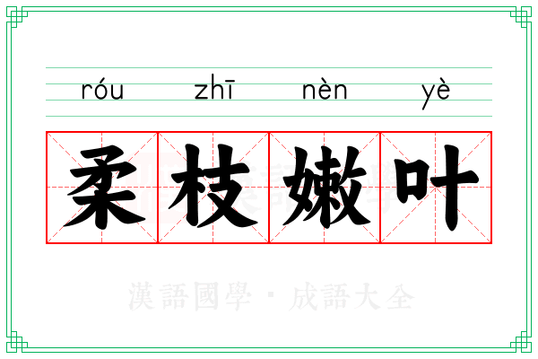 柔枝嫩叶 柔枝嫩叶