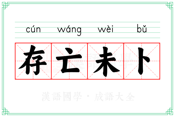 存亡未卜 存亡未卜