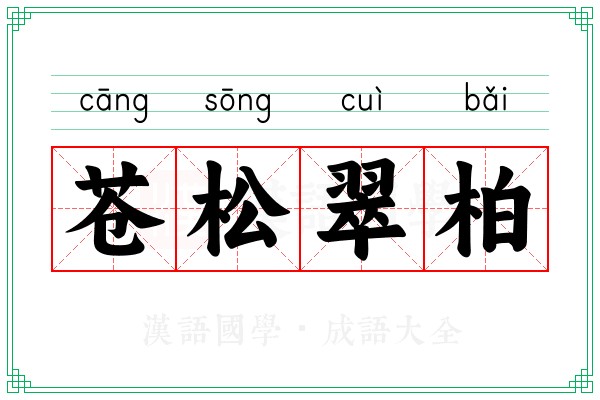苍松翠柏 苍松翠柏
