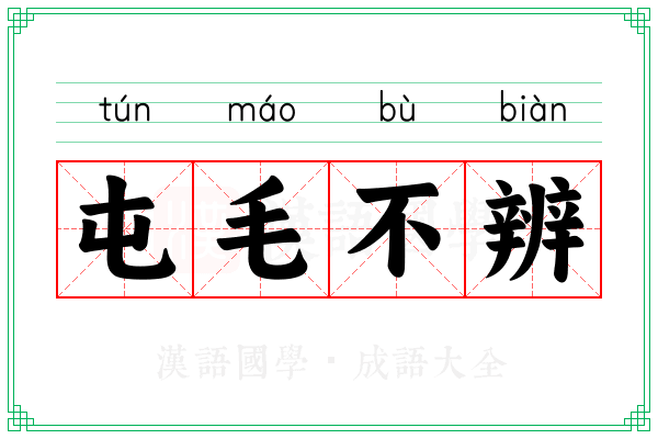 屯毛不辨 屯毛不辨
