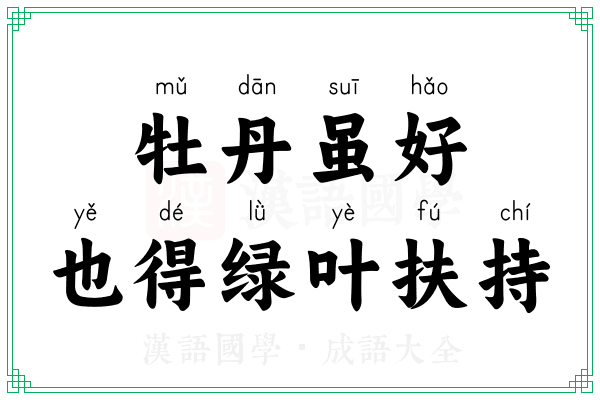 牡丹虽好,也得绿叶扶持 牡丹虽好,也得绿叶扶持