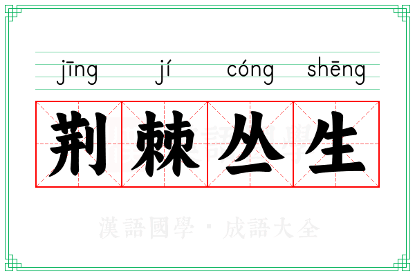 荆棘丛生 荆棘丛生