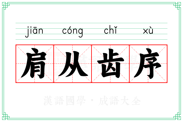 肩从齿序