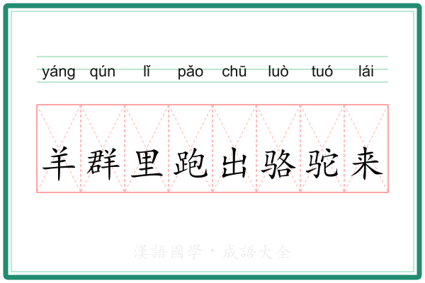 羊群里跑出骆驼来