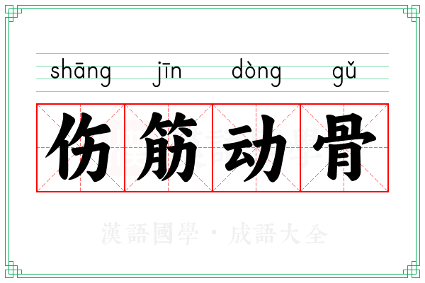 伤筋动骨 伤筋动骨