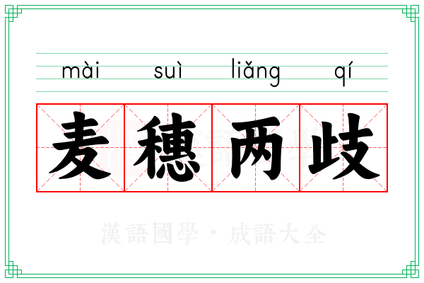 麦穗两歧 麦穗两歧