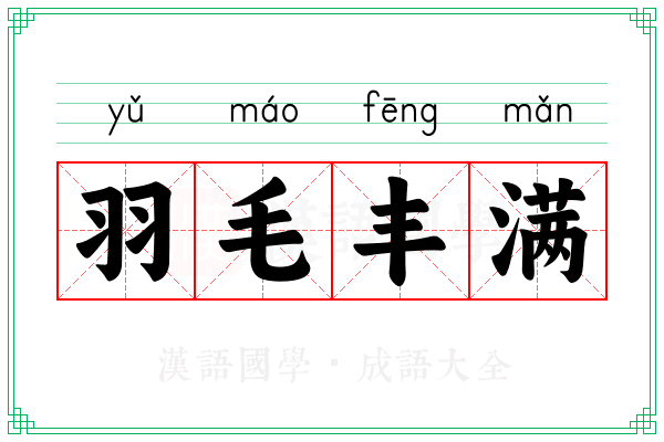羽毛丰满 羽毛丰满