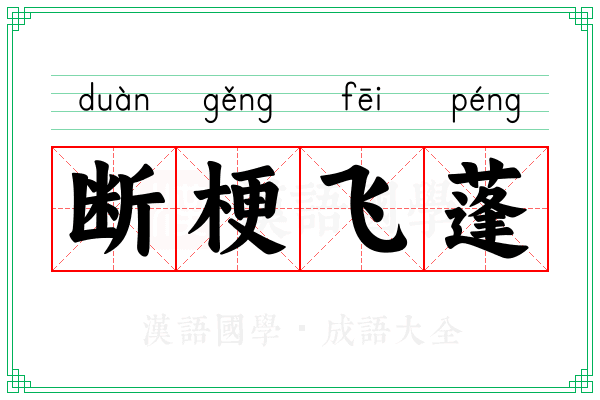 断梗飞蓬