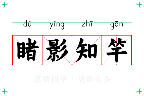 睹影知竿