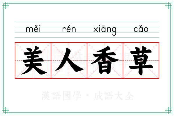美人香草 美人香草