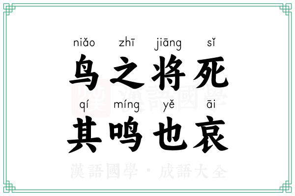 鸟之将死,其鸣也哀 鸟之将死,其鸣也哀