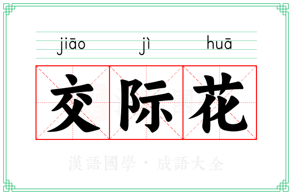 交际花