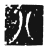 八(传抄·魏·春秋僖公石经)