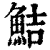 鮚(印刷字体·清·康熙字典)