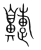 𪖣(传抄·宋·集篆古文韵海)