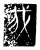 我(传抄·魏·三体石经)
