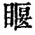 𥈔(印刷字体·清·康熙字典)
