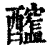 𨣮(印刷字体·清·康熙字典)