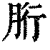 胻(印刷字体·清·康熙字典)