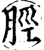 脛(印刷字体·宋·增韵)