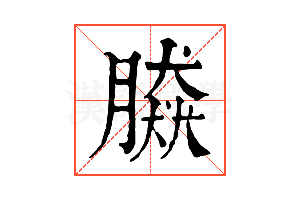 𦠎 𦠎