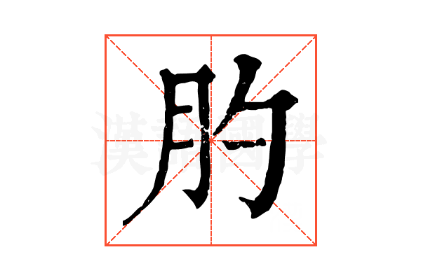 肑 肑